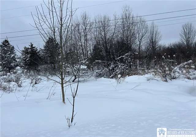 1st image of Pekin Rd, French Creek, NY 14736 | MLS# R1658743
