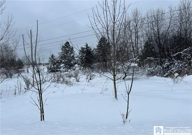 2nd image of Pekin Rd, French Creek, NY 14736 | MLS# R1658743