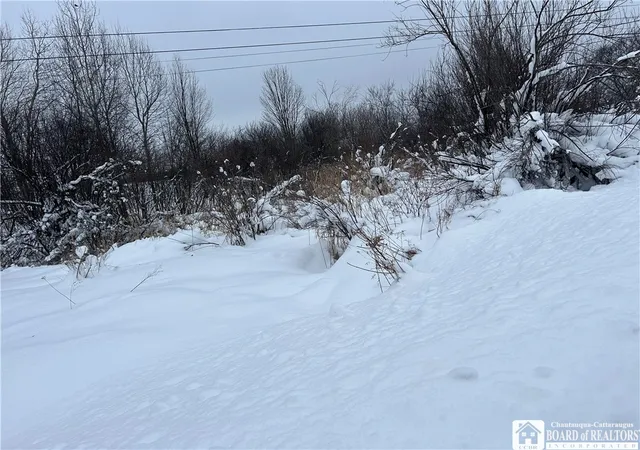 3rd image of Pekin Rd, French Creek, NY 14736 | MLS# R1658743
