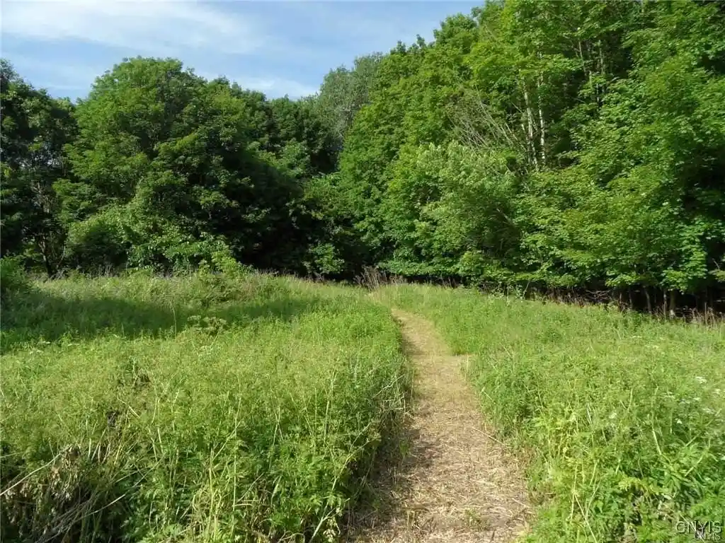 Land for sale at 0 Henderson St, Whitestown, NY 13492 | MLS# S1659897