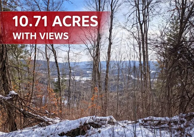 Homes for sale in Blenheim, NY | 15 Silver Mine Rd, Blenheim, NY 12131 | MLS# R1658677
