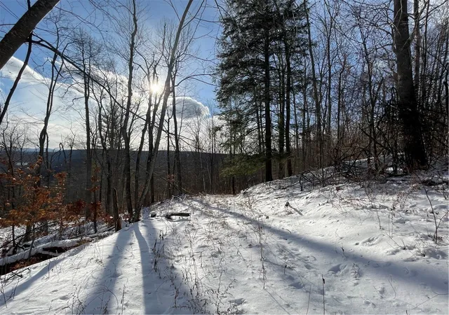 Homes for sale in Blenheim, NY | 15 Silver Mine Rd, Blenheim, NY 12131 | MLS# R1658677