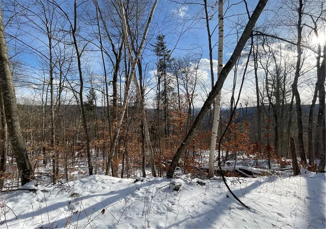 Homes for sale in Blenheim, NY | 15 Silver Mine Rd, Blenheim, NY 12131 | MLS# R1658677