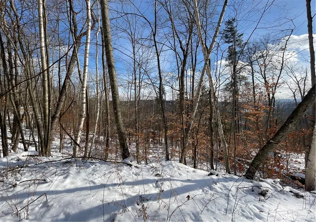 Homes for sale in Blenheim, NY | 15 Silver Mine Rd, Blenheim, NY 12131 | MLS# R1658677