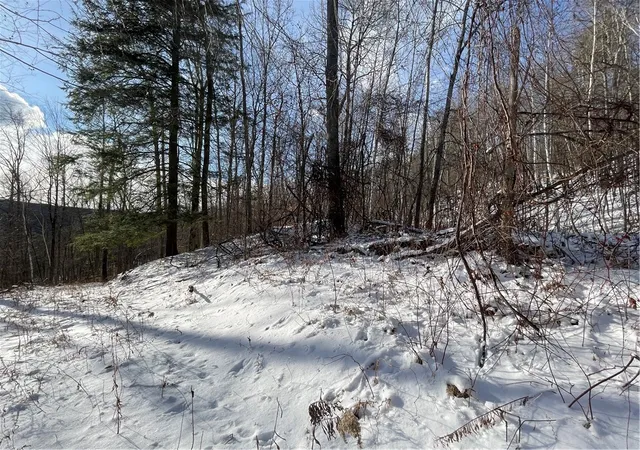 Homes for sale in Blenheim, NY | 15 Silver Mine Rd, Blenheim, NY 12131 | MLS# R1658677
