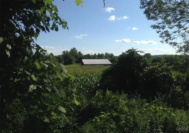 Homes for sale in Columbia, NY | 143 Lake Rd, Columbia, NY 13491 | MLS# S1660245