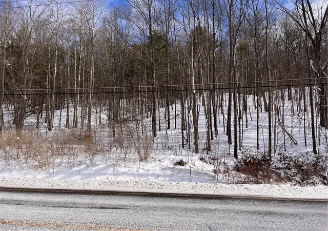 Homes for sale in Bristol, NY | 0 Rt 64, Bristol, NY 14424 | MLS# R1660223