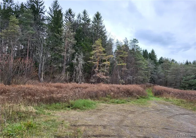 Photo 1 of Land for sale at Us Route 219, Ellicottville, NY 14731 | MLS# B1663270 | Listing updated on 2026-05-29