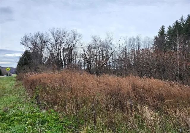 Photo 2 of Land for sale at Us Route 219, Ellicottville, NY 14731 | MLS# B1663270 | Listing updated on 2026-05-29