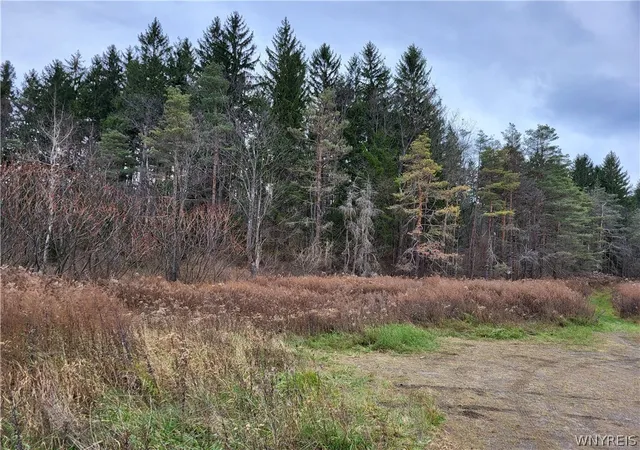 Photo 4 of Land for sale at Us Route 219, Ellicottville, NY 14731 | MLS# B1663270 | Listing updated on 2026-05-29