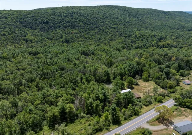 Homes for sale in Bath, NY | 8230 County Route 16 (Telegraph Road), Bath, NY 14879 | MLS# R1663951