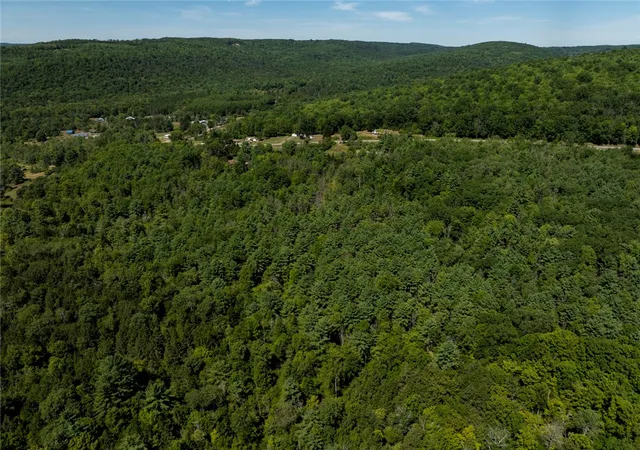 Homes for sale in Bath, NY | 8230 County Route 16 (Telegraph Road), Bath, NY 14879 | MLS# R1663951