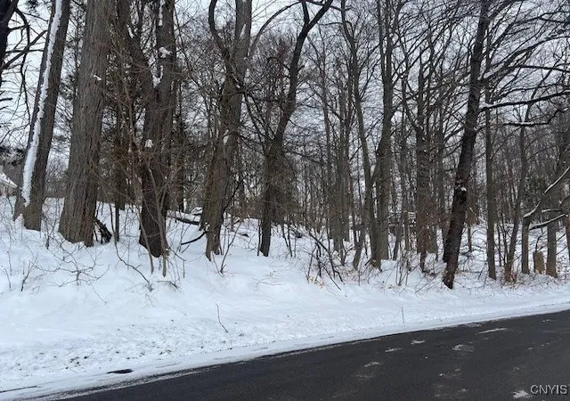 Photo 1 of Land for sale at 00 Fancher Ave, Sterling, NY 13156 | MLS# S1660587 | Listing updated on 2026-07-14