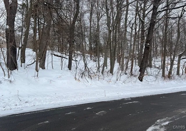 Photo 2 of Land for sale at 00 Fancher Ave, Sterling, NY 13156 | MLS# S1660587 | Listing updated on 2026-07-14