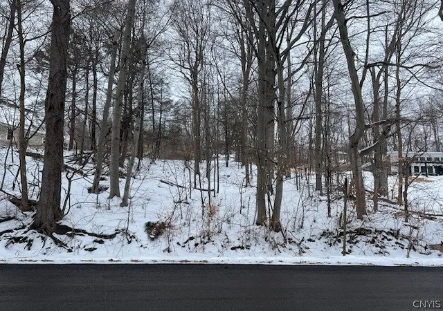Photo 3 of Land for sale at 00 Fancher Ave, Sterling, NY 13156 | MLS# S1660587 | Listing updated on 2026-07-14