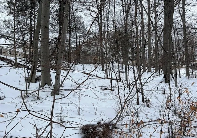 Photo 4 of Land for sale at 00 Fancher Ave, Sterling, NY 13156 | MLS# S1660587 | Listing updated on 2026-07-14