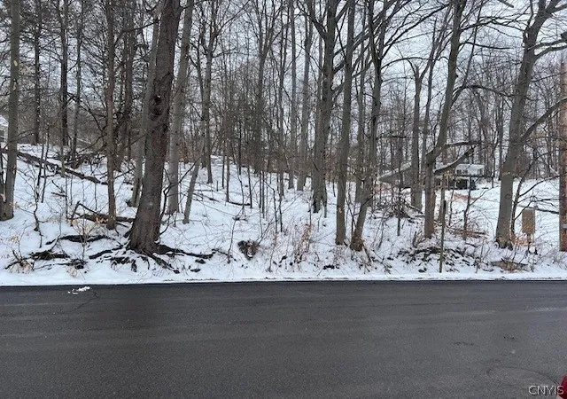 Photo 5 of Land for sale at 00 Fancher Ave, Sterling, NY 13156 | MLS# S1660587 | Listing updated on 2026-07-14