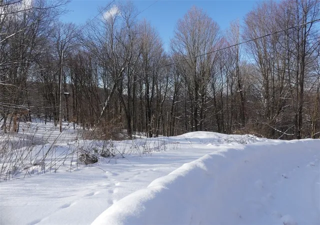 Homes for sale in Bovina, NY | State Hwy 28, Bovina, NY 13731 | MLS# R1664058