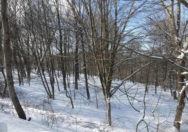 Homes for sale in Bovina, NY | State Hwy 28, Bovina, NY 13731 | MLS# R1664058