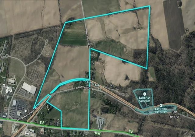 Homes for sale in Bath, NY | 7013 Fish Hatchery Rd, Bath, NY 14810 | MLS# S1664223