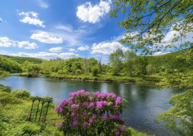 4th image of 646 River Rd, Deposit, NY 13754 | MLS# R1664129