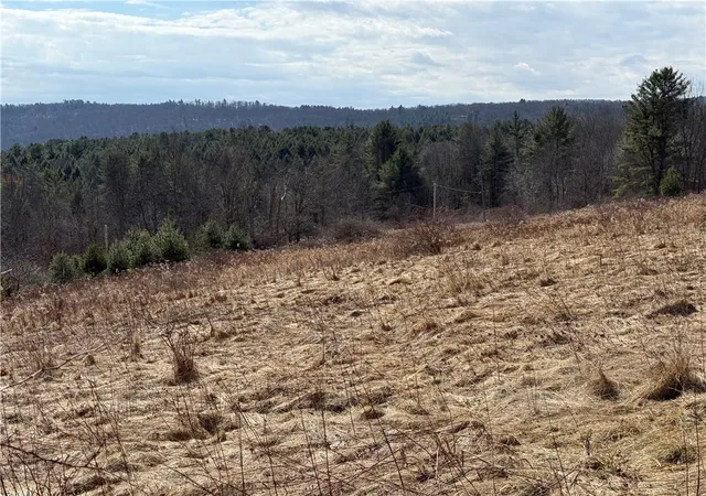 4th image of 386 High Bridge Rd, Guilford, NY 13809 | MLS# R1664345