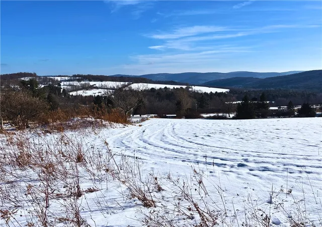Homes for sale in Hamden, NY | Lot 41 Hamden Hill Rd, Hamden, NY 13782 | MLS# R1664351