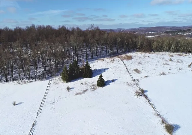 Homes for sale in Hamden, NY | Lot 41 Hamden Hill Rd, Hamden, NY 13782 | MLS# R1664351