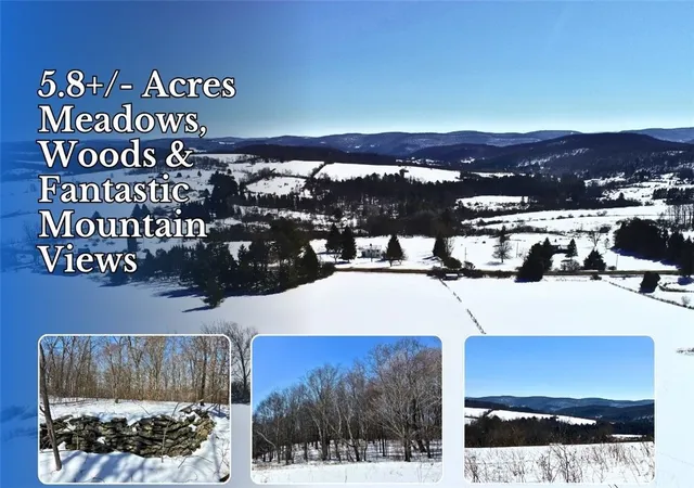 Homes for sale in Hamden, NY | Lot 42 Hamden Hill Rd, Hamden, NY 13782 | MLS# R1664352