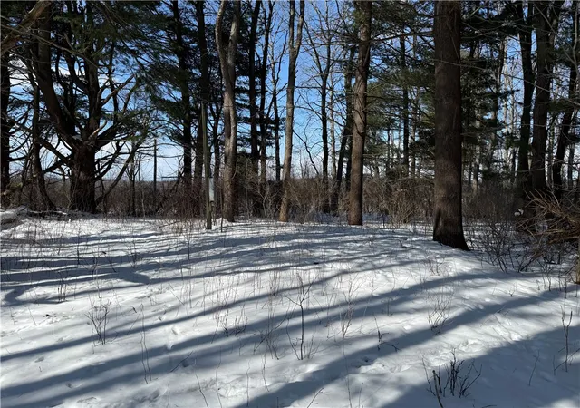Homes for sale in Eagle, NY | 0 Rt-39, Eagle, NY 14024 | MLS# R1664494