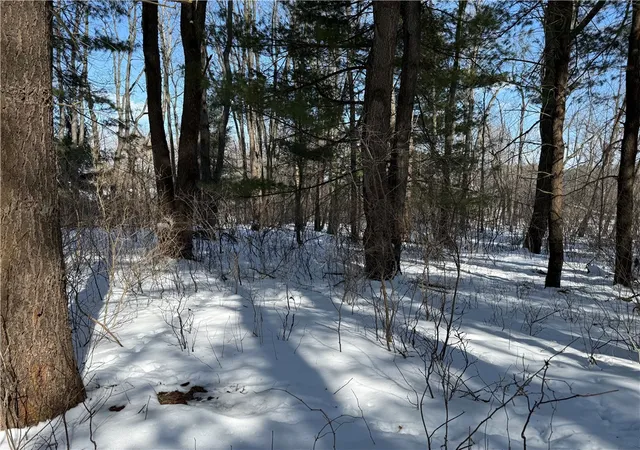Homes for sale in Eagle, NY | 0 Rt-39, Eagle, NY 14024 | MLS# R1664494