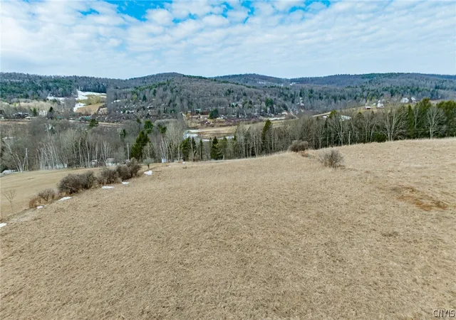 3rd image of Buck Rd, Otsego, NY 13337 | MLS# S1664598