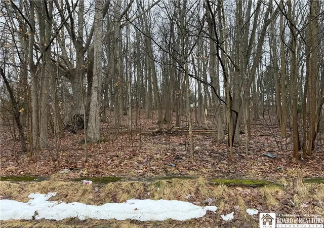 Photo 1 of Sale Pending at 0 Vega St, Jamestown, NY 14701 | MLS# R1662969 | Listing updated on 2026-04-26