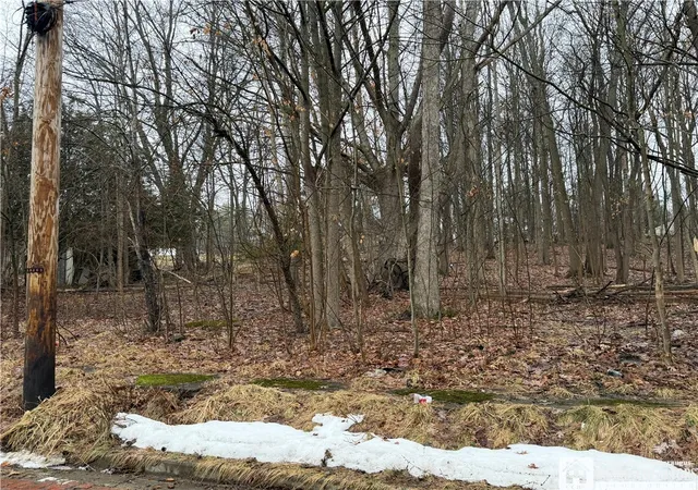 Photo 2 of Sale Pending at 0 Vega St, Jamestown, NY 14701 | MLS# R1662969 | Listing updated on 2026-04-26