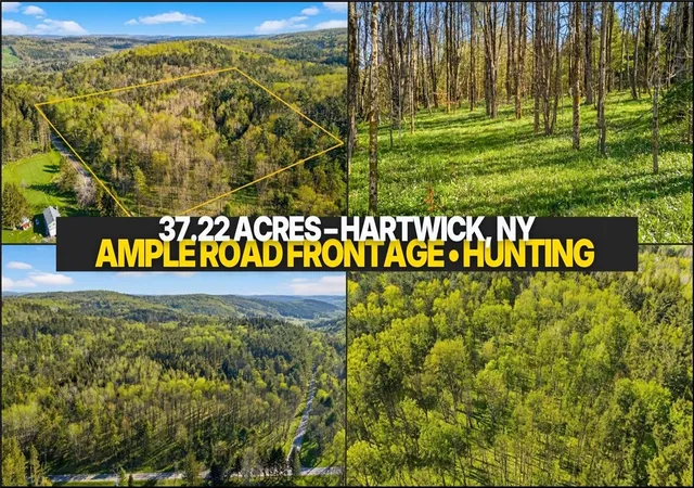 2nd image of L29 County Hwy 45, Hartwick, NY 13807 | MLS# R1664562