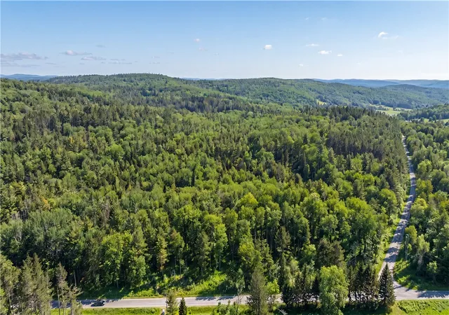 4th image of L29 County Hwy 45, Hartwick, NY 13807 | MLS# R1664562