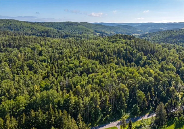 5th image of L29 County Hwy 45, Hartwick, NY 13807 | MLS# R1664562