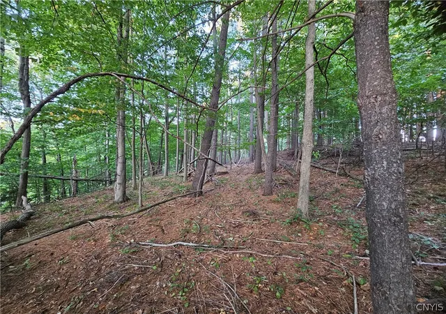 Homes for sale in Denmark, NY | Old State Rd, Denmark, NY 13619 | MLS# S1665207
