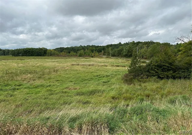 Photo 4 of Land for sale at County Route 22, Antwerp, NY 13608 | MLS# S1665624 | Listing updated on 2026-07-15