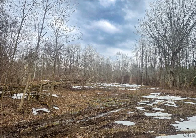 Homes for sale in Vienna, NY | 0 Mill Rd, Vienna, NY 13042 | MLS# S1666057