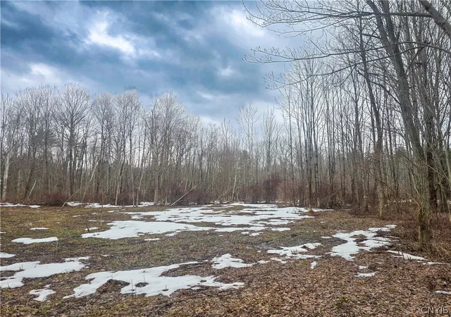 Homes for sale in Vienna, NY | 0 Mill Rd, Vienna, NY 13042 | MLS# S1666057