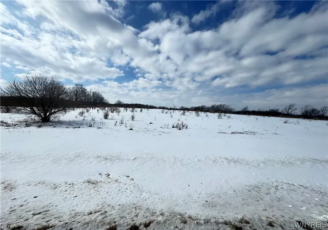 Homes for sale in Orangeville, NY | 0 Orangeville Center Rd, Orangeville, NY 14569 | MLS# B1664866