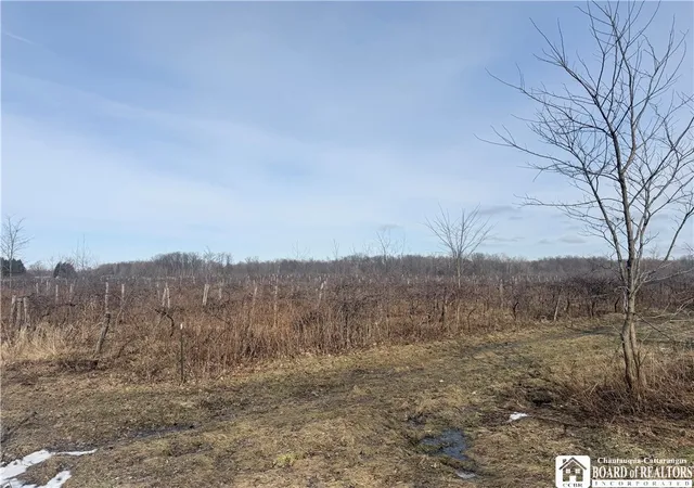 3rd image of North Rd E, Pomfret, NY 14063 | MLS# R1666136
