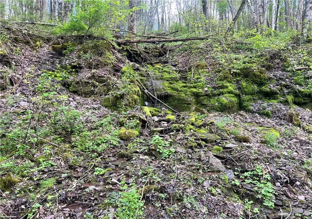 36th image of 260 State Hwy 28, Oneonta, NY 13820 | MLS# R1664535