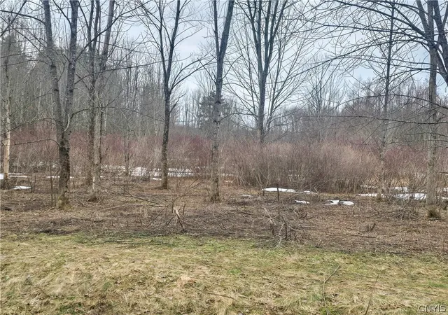 Homes for sale in Vienna, NY | 00 Depot Rd, Vienna, NY 13042 | MLS# S1666565
