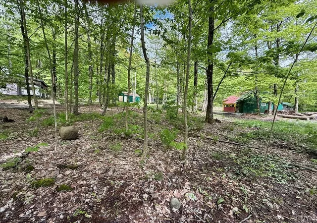 Homes for sale in Orwell, NY | 25 Little America Rd, Orwell, NY 13144 | MLS# S1666719