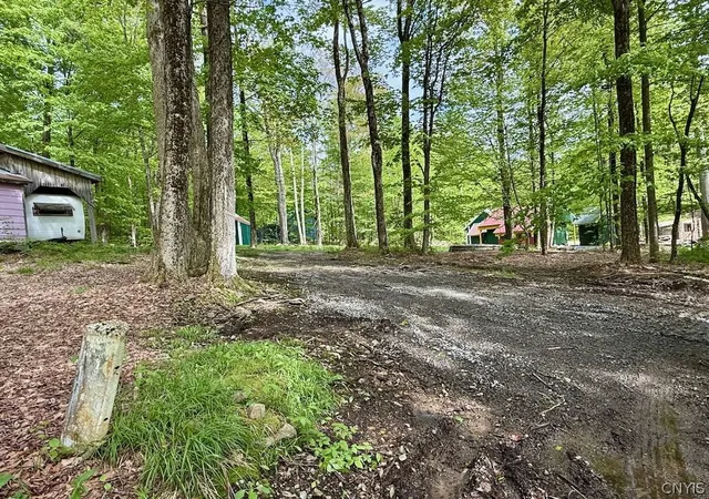 Homes for sale in Orwell, NY | 25 Little America Rd, Orwell, NY 13144 | MLS# S1666719