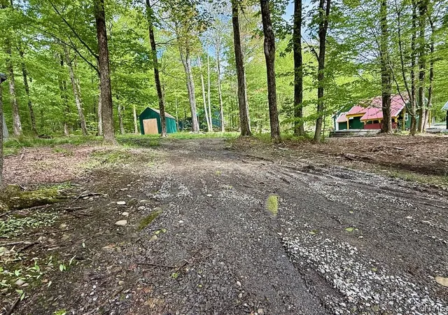 Homes for sale in Orwell, NY | 25 Little America Rd, Orwell, NY 13144 | MLS# S1666719