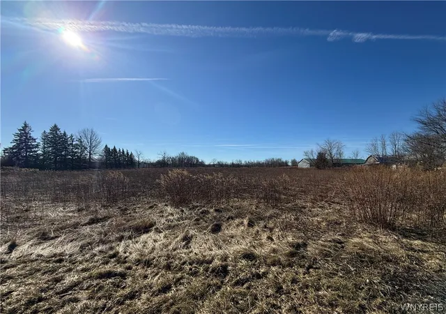 Land for sale at 13151 Main Rd, Akron, NY 14001 | MLS# B1666610
