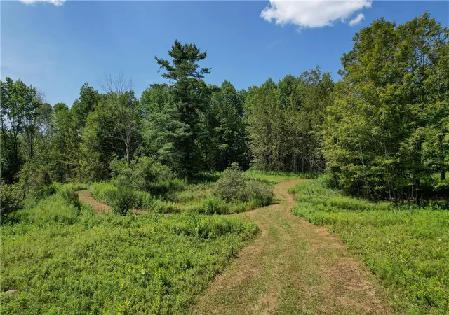 Homes for sale in Middletown, NY | 0 Red Kill Rd, Middletown, NY 12430 | MLS# R1666101